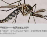 登革熱預防——你該知道這些事！